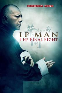 ดูหนังออนไลน์ฟรี Ip Man The Final Fight (2013) หมัดสุดท้าย ปรมาจารย์ยิปมัน