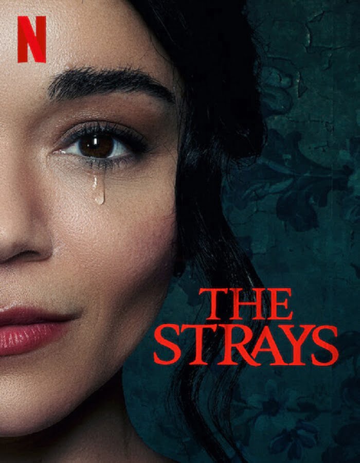 ดูหนังออนไลน์ฟรี The Strays (2023) คนหลงทาง